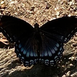 ***  BROWSE AROUND, LET"S BUNDLE AND DISCOUNT ***